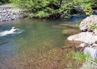 OL' SWIMMIN HOLE 